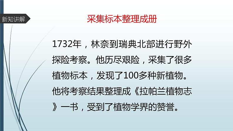 大象版小学科学四上 反思单元 伟大的命名者 课件04