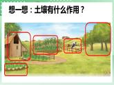青岛版科学三年级下册    1.1 土壤的成分  课件