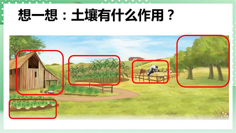 青岛版科学三年级下册     1.1 土壤的成分 课件第2页