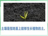 青岛版科学三年级下册    1.2.土壤的种类 课件 +视频