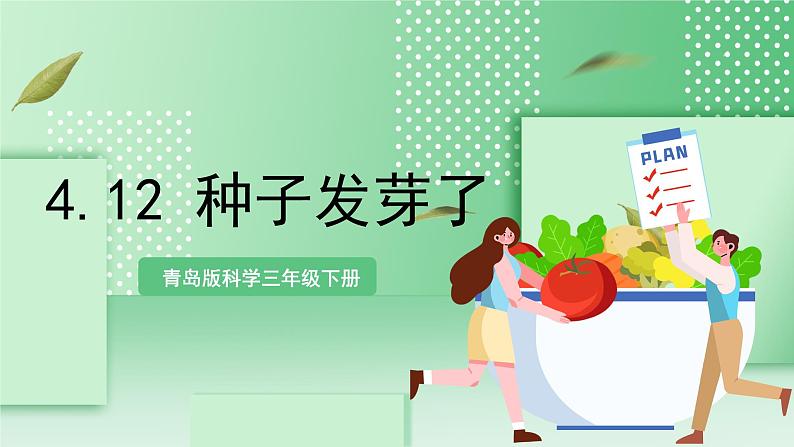 青岛版科学三年级下册  4.12 种子发芽了课件第1页