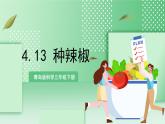 青島版科學三年級下冊  4.13.種辣椒 課件 +視頻