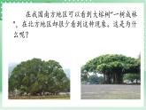 青島版科學三年級下冊  4. 15  不同環(huán)境中的植物  課件