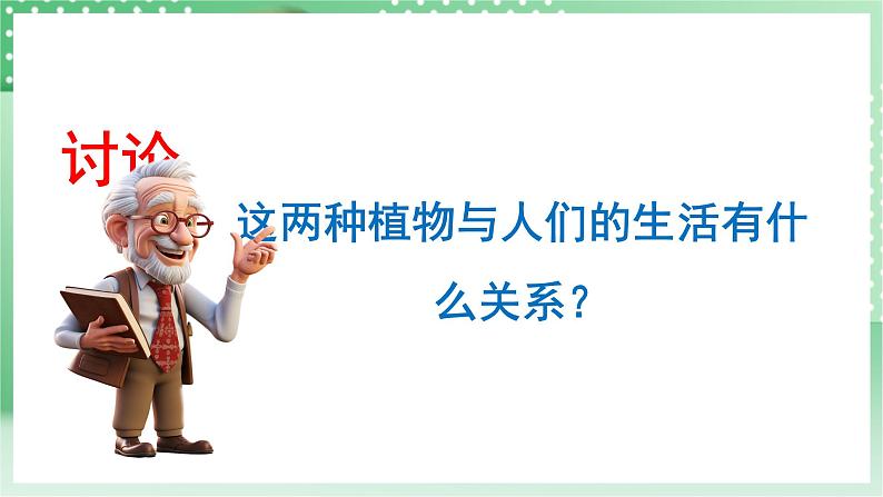 青岛版科学三年级下册  4. 16.调查家乡植物   课件 +视频05