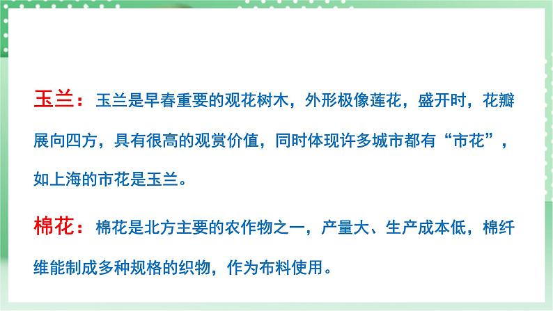 青岛版科学三年级下册  4. 16.调查家乡植物   课件 +视频06