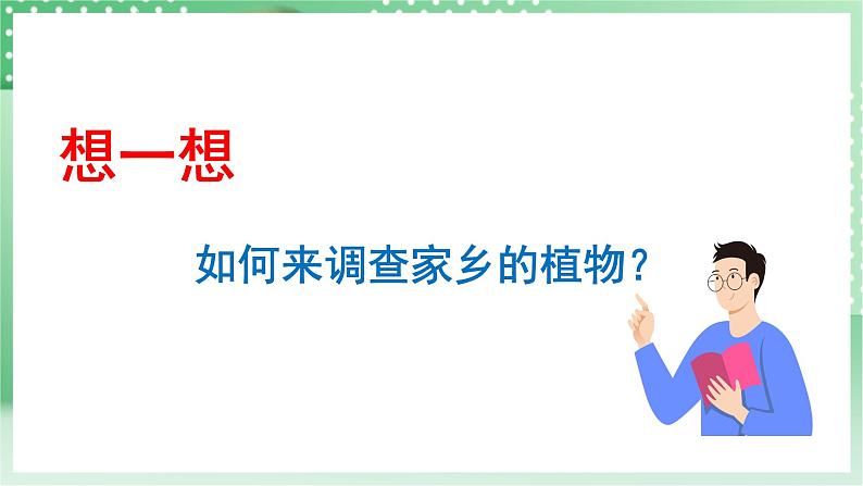 青岛版科学三年级下册  4. 16.调查家乡植物   课件 +视频08