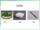 青岛版科学三年级下册  5. 17  养蚕  课件