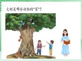 青岛版科学三年级下册  5. 18.动物的“家”  课件