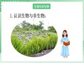 青岛版科学三年级下册  5.19 生物与非生物  课件 + 视频+练习（无答案）