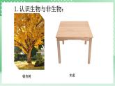 青岛版科学三年级下册  5.19 生物与非生物  课件 + 视频+练习（无答案）