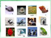 青岛版科学三年级下册  5.19 生物与非生物  课件 + 视频+练习（无答案）