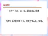 青岛版五四制科学二年级下册 1. 3 《我在哪里 》 课件
