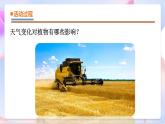 青岛版五四制科学二年级下册 3. 9 《天气与动植物 》课件