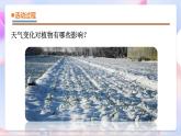 青岛版五四制科学二年级下册 3. 9 《天气与动植物 》课件