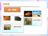 青岛版五四制科学二年级下册 4. 11 《动物的皮肤》 课件