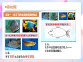 青岛版五四制科学二年级下册 4. 11 《动物的皮肤》 课件