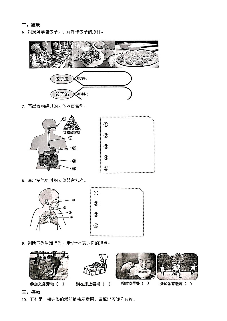 河南省新乡市卫辉市2023-2024学年三年级下期期末调研科学试卷第2页