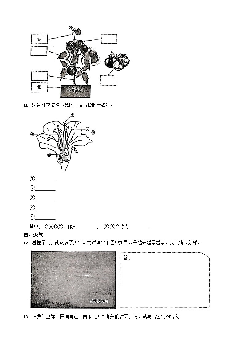 河南省新乡市卫辉市2023-2024学年三年级下期期末调研科学试卷第3页