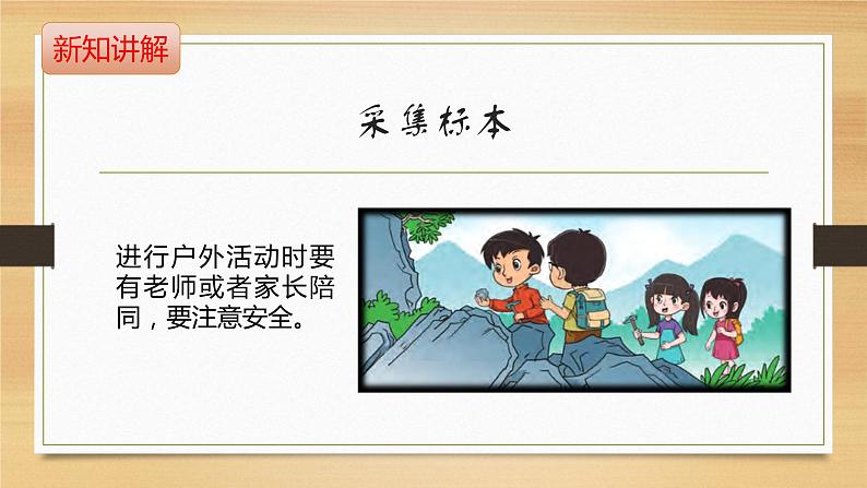 大象版小学科学四上第二单元 岩石和矿产1.玩石头 课件第3页