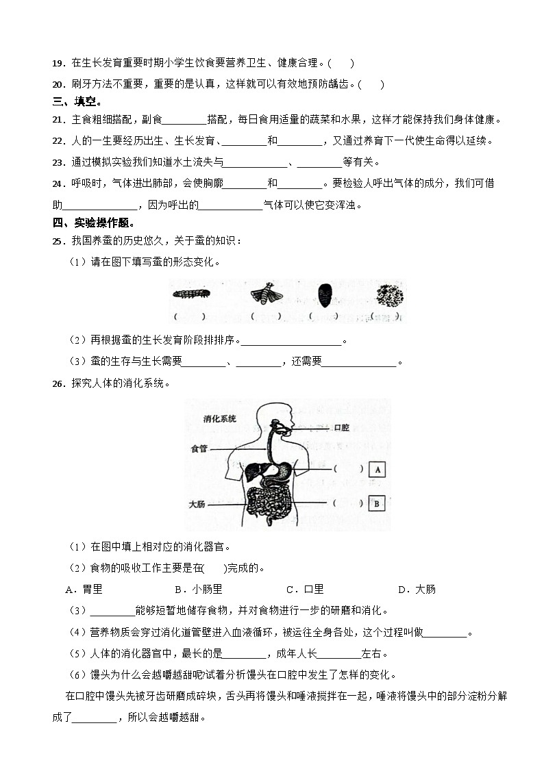 河北省保定市安国市2022-2023学年四年级下学期期末科学试题02