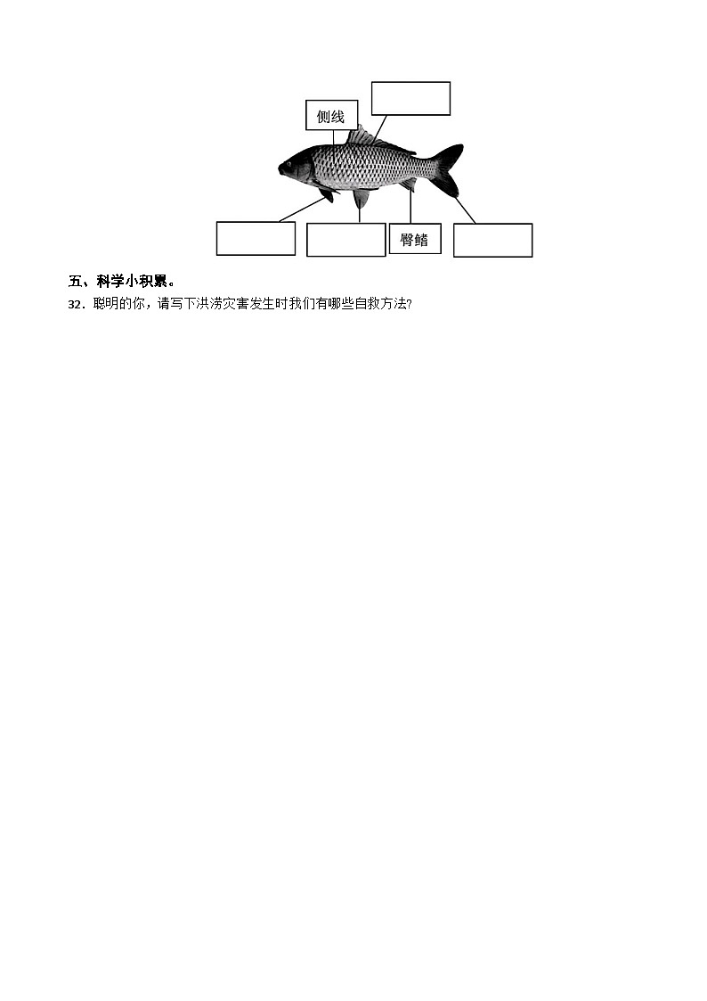 河北省沧州市2023-2024学年三年级下学期科学期末考试试卷（B卷）03