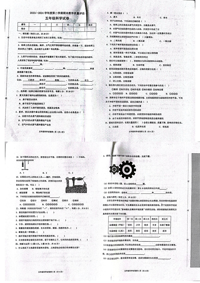 河北省沧州市任丘市2023-2024学年五年级下学期6月期末科学试题01