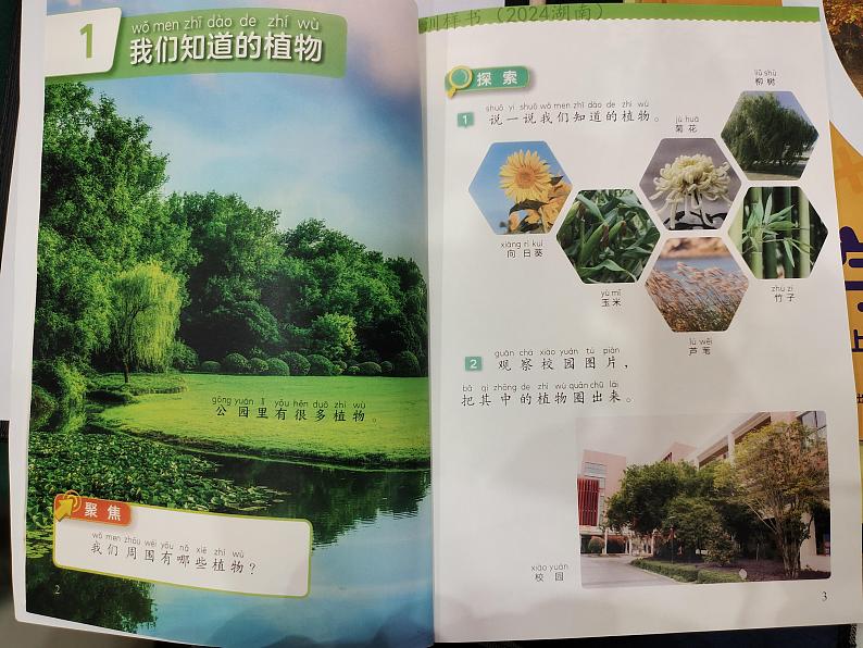 （2024）新版教科版科学一年级上册电子课本-预习资料第2页