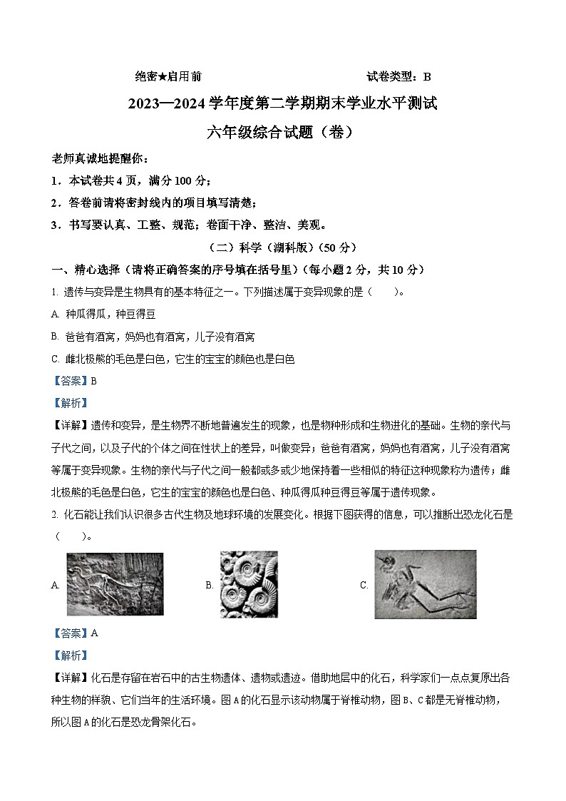 陕西省商洛市山阳县2023-2024学年湘科版六年级下册期末考试科学试卷（原卷版+解析版）01