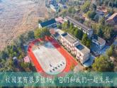 （2024）新教科版科学一年级上册1-2观察植物PPT课件