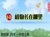 （2024）新教科版科学一年级上册1-3植物长在哪里PPT课件