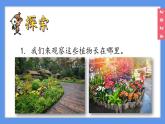（2024）新教科版科学一年级上册1-3植物长在哪里PPT课件