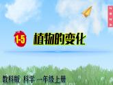（2024）新教科版科学一年级上册1-5植物的变化PPT课件