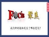 （2024）新教科版科学一年级上册1-5植物的变化PPT课件