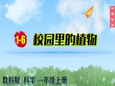 （2024）新教科版科学一年级上册1-6校园里的植物PPT课件