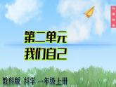 （2024）新教科版科學(xué)一年級(jí)上冊(cè)2-1我們的身體PPT課件