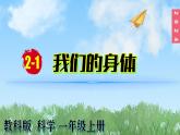 （2024）新教科版科學(xué)一年級(jí)上冊(cè)2-1我們的身體PPT課件