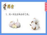 （2024）新教科版科学一年级上册2-4气味告诉我们PPT课件
