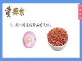 （2024）新教科版科学一年级上册2-4气味告诉我们PPT课件