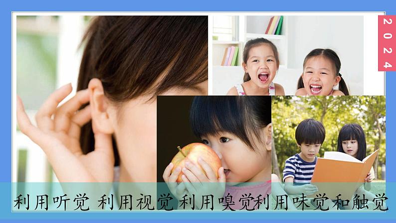 （2024）新教科版科学一年级上册2-5通过感官来发现PPT课件02