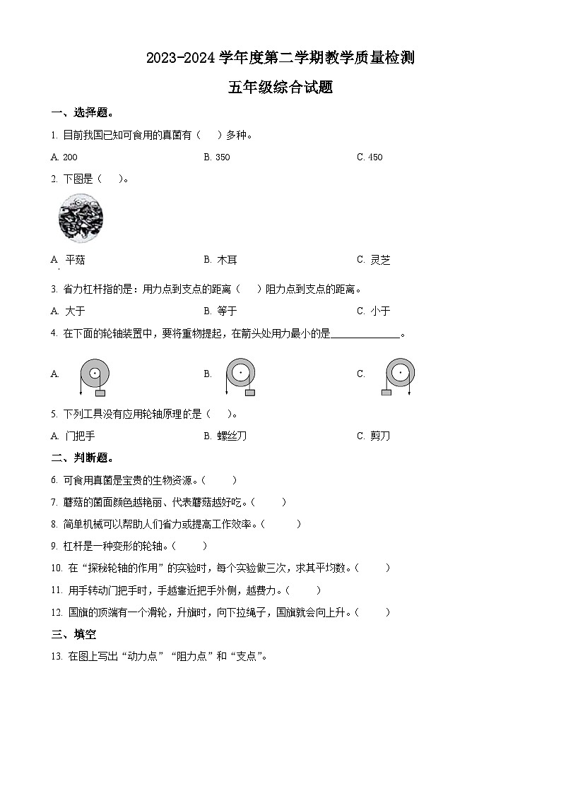 河北省邢台市威县第四小学2023-2024学年冀教版五年级下册期末考试科学试卷（原卷版）第1页