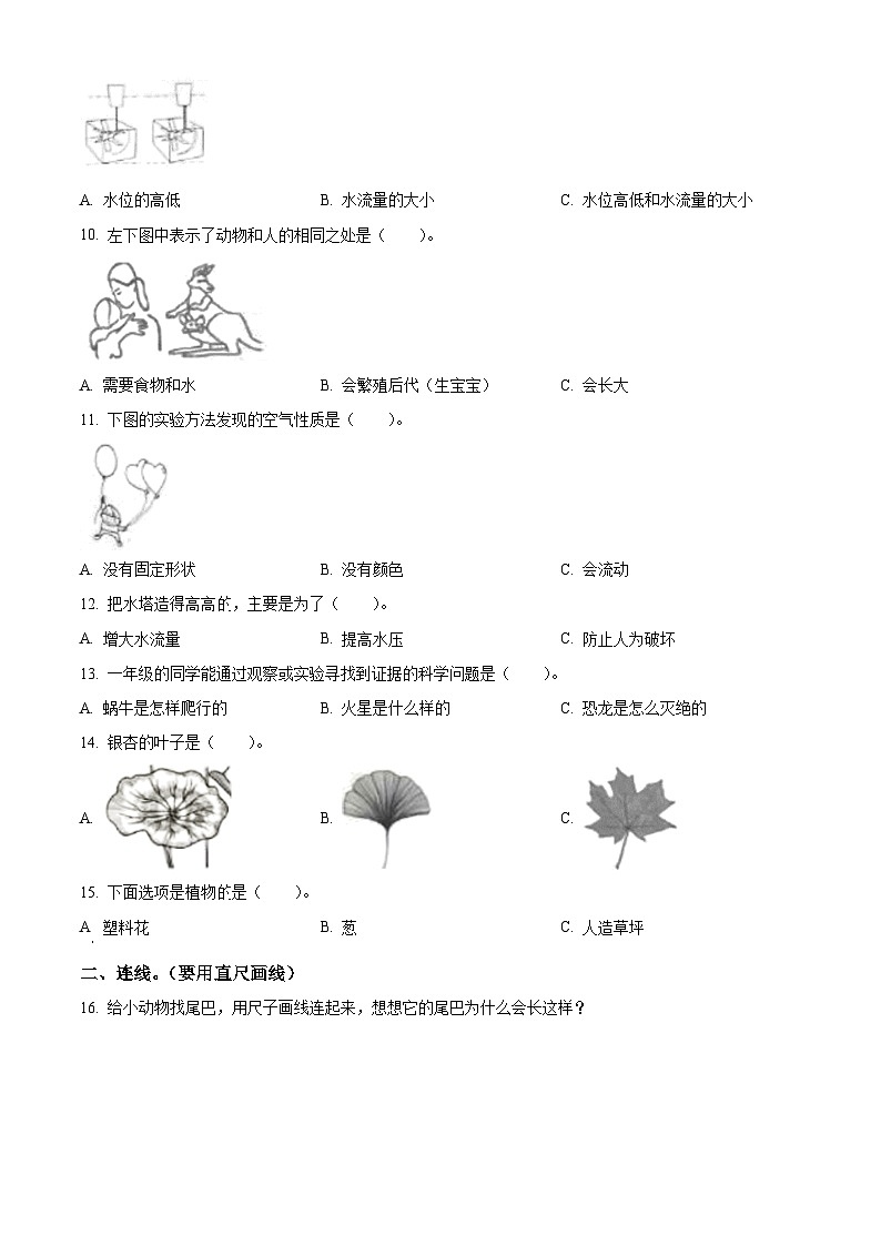 山西省晋中市介休市2023-2024学年苏教版一年级下册期末考试科学试卷（原卷版+解析版）02