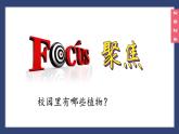 （2024）新教科版科學(xué)一年級(jí)上冊(cè)1-6校園里的植物PPT課件