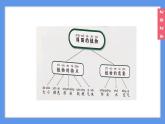 （2024）新教科版科學(xué)一年級(jí)上冊(cè)1-7單元小結(jié)科學(xué)閱讀PPT課件