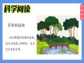 （2024）新教科版科學(xué)一年級(jí)上冊(cè)1-7單元小結(jié)科學(xué)閱讀PPT課件