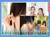 （2024）新教科版科学一年级上册2-5通过感官来发现PPT课件
