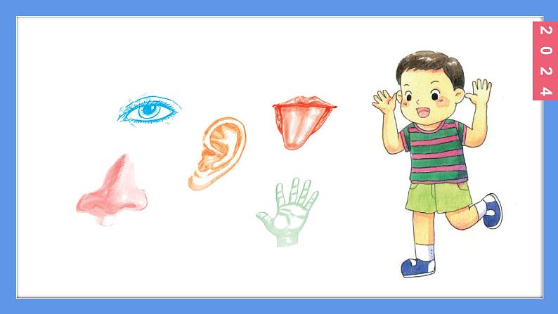 （2024）新教科版科学一年级上册2-5通过感官来发现PPT课件第4页