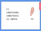 （2024）新教科版科学一年级上册2-5通过感官来发现PPT课件
