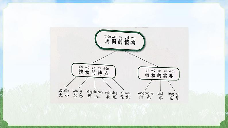 （2024）新教科版科学一年级上册1-7单元小结科学阅读PPT课件02