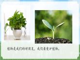 （2024）新教科版科學(xué)一年級(jí)上冊(cè)1-7單元小結(jié)科學(xué)閱讀PPT課件