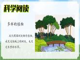 （2024）新教科版科學(xué)一年級(jí)上冊(cè)1-7單元小結(jié)科學(xué)閱讀PPT課件